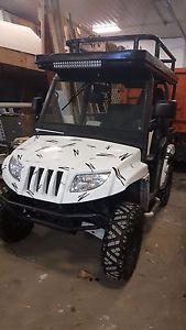 Custom 2007 Arctic Cat Quad - Low Hours