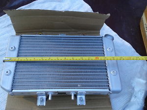 NEW!!! Polaris PREDATOR radiator assembly ORIGINAL EQUIPMENT fan/cap/sensor/etc.