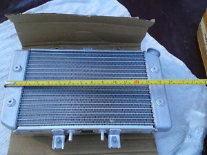 NEW! Polaris PREDATOR 500 radiator assembly ORIGINAL EQUIPMENTfan/cap/sensor/etc