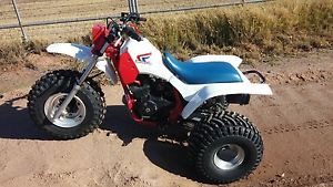1986 Honda ATC200X ATC 200X