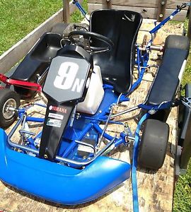 All Kart - Italian Chassis - Adult Go Kart - Yamaha KT100 - Horstman Wet Clutch