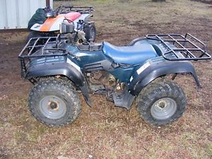 suzuki 250 quadrunner