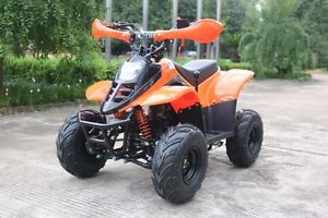 KIDS QUADS 4 STROKE QUADS 90cc110cc QUADS NEW 2017 MODELS DIRT MONSTER RAPTOR