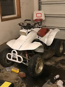 honda 300ex