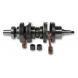 Crankshaft Assembly