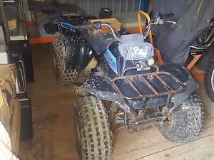 kawasaki 185 Bayou quad bike