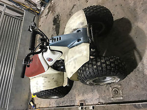suzuki lt 50 quad