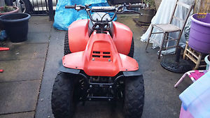 SUZUKI LT 185 QUADRUNNER