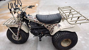 1983 Kawasaki KLT200