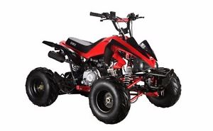 GMX The Beast 110cc SPORTS Quad Bike