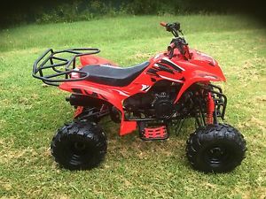Elstar Camel 150cc quad