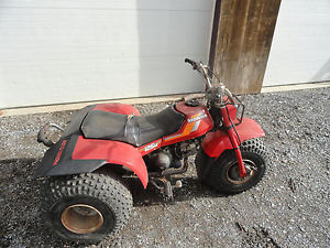 1984 Honda 125 3-wheeler