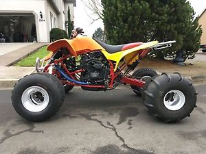 2009 Yamaha Raptor