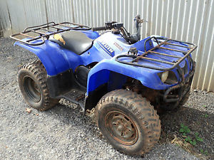 Yamaha quad bike big bear 2006 model