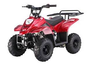 New TaoTao 110cc Gas Powered Small Kids Sports ATVs - Free Shipping!