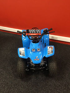 junior quadzilla buzz 50cc 2 stroke lifetime warranty