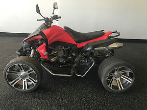 ADULT QUAD BIKE ATV 250cc WATER-COOLED MOTOR DIGITAL DASH