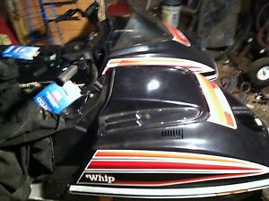 1979 Scorpion whip 440