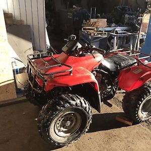 Honda 250 quad