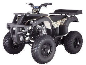 BRANDNEW  250cc-V4D  ATV FREESHIPPING MOREDISCOUNT