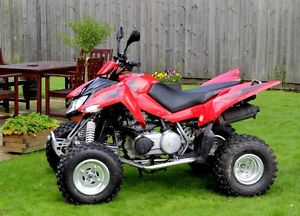 Apache 320 RLX  Quad Bike