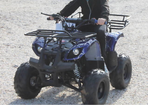 ATV Mini 4 Wheeler - Purple Spider