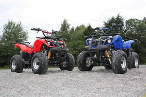 kids quad bikes hawkmoto 125 condor