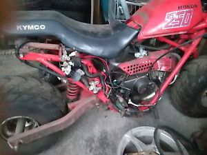 Honda balloon bike project