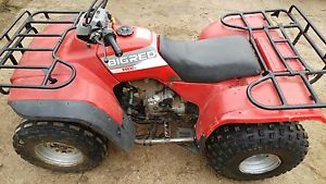 Honda Bigred Trx 300