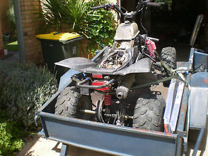 Quad Bike Adult size 250cc