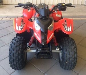 Polaris Quad 50cc Kids Motorbike