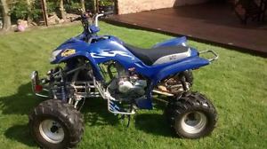 200cc quad bike in subaru blue detailing adult will do approx 40-50mph kat