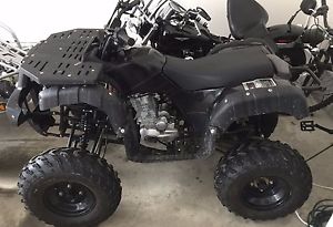 2015 Tao Tao Rhino 250