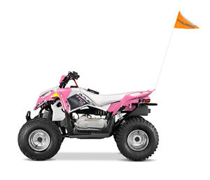 Polaris 2016 Outlaw 110 Pink Quad Bike