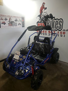KIDS QUADZILLA MIDI BUG | 200CC AUTOMATIC | 2 SEATER | BUGGY GO KART