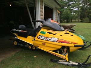 Ski Doo & Arctic Cat - TWO SLEDS