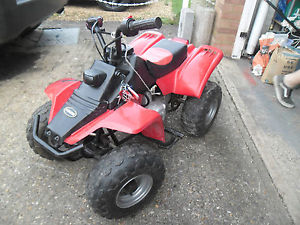 Quad bike in used condition,start and run and good fun...