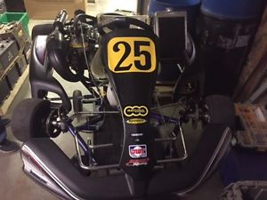 Arrow AX9 125 CIK 2010 W/ Mod Honda Go Kart