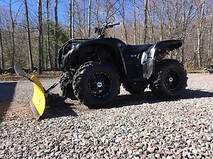 2009 Yamaha grizzly