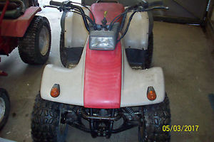 Yamaha Breeze Quad Bike