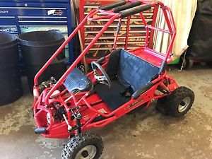 LAWNFLITE LAZER MINI BUGGY