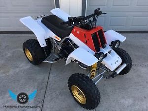 1996 Yamaha YFZ350 Banshee