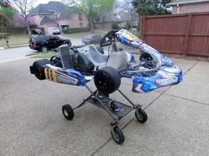 Arrow X-1 w/Rotax Junior Max