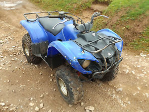 Yamaha Grizzly 125cc Quad Bikes