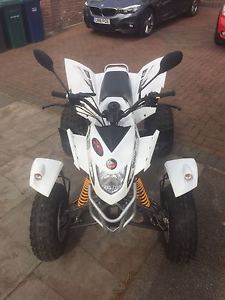 ROAD LEGAL QUAD 300CC XLC IMMACULATE CONDITION