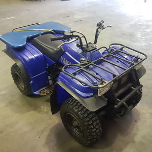 yamaha quad 250