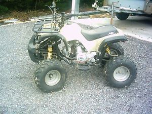 Quad bike Lei moto 110cc