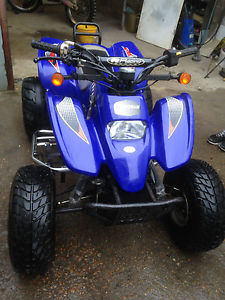 2005 QUADZILLA  ROAD LEGAL QUAD BIKE ACCESS  BLUE