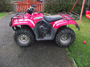 Suzuki Eiger 400 Quad