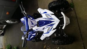 Kids 36v electric quad